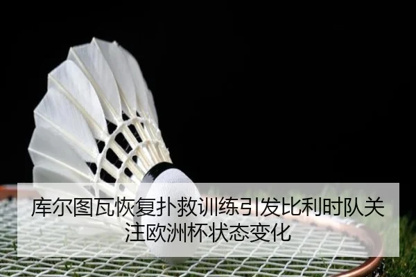 库尔图瓦恢复扑救训练引发比利时队关注欧洲杯状态变化